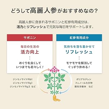 Amazon.co.jp: 正官庄 (ジョンガンジャン) 高麗人参 紅参エキス